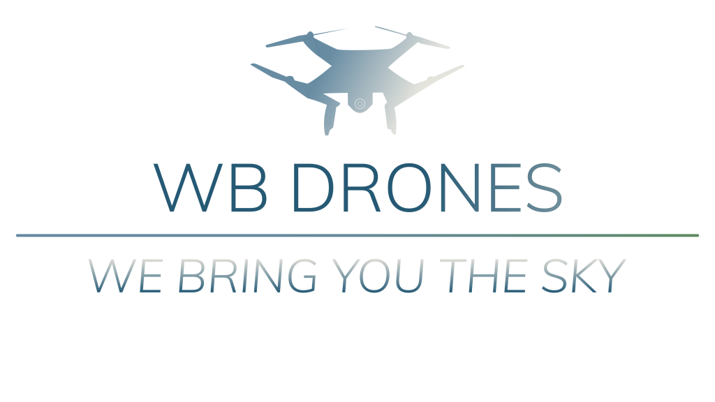 Logo WB Drones